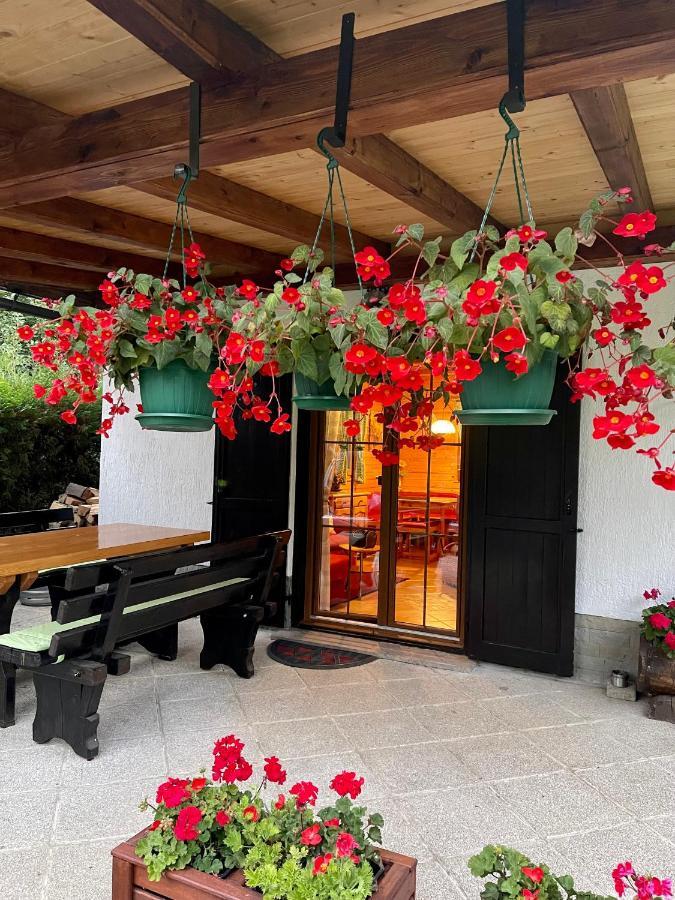 Chalet House Olga كرني لوغ المظهر الخارجي الصورة